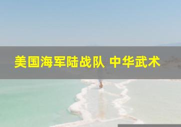 美国海军陆战队 中华武术